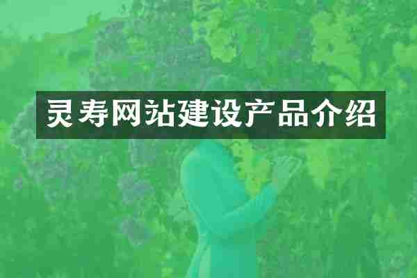 灵寿网站建设产品介绍