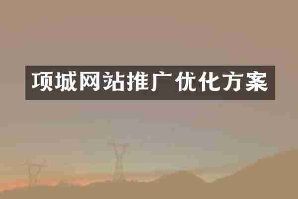 项城网站推广优化方案