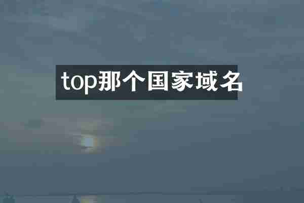 top那个国家域名