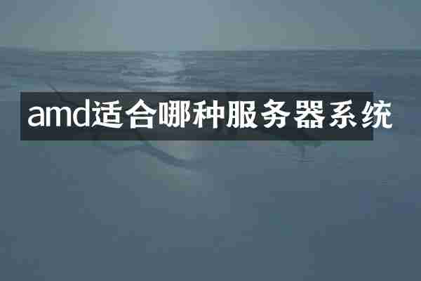 amd适合哪种服务器系统