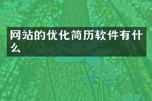 网站的优化简历软件有什么