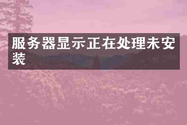 服务器显示正在处理未安装