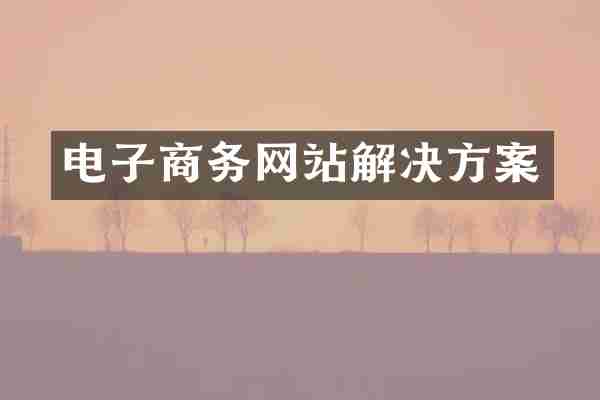 电子商务网站解决方案