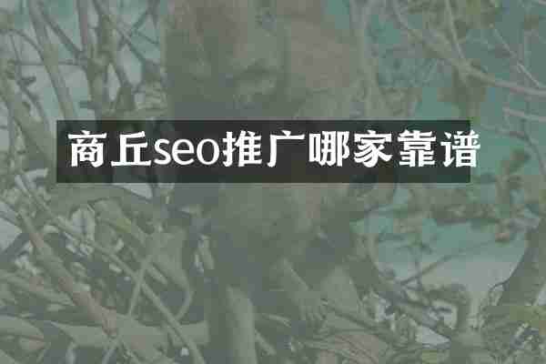 商丘seo推广哪家靠谱