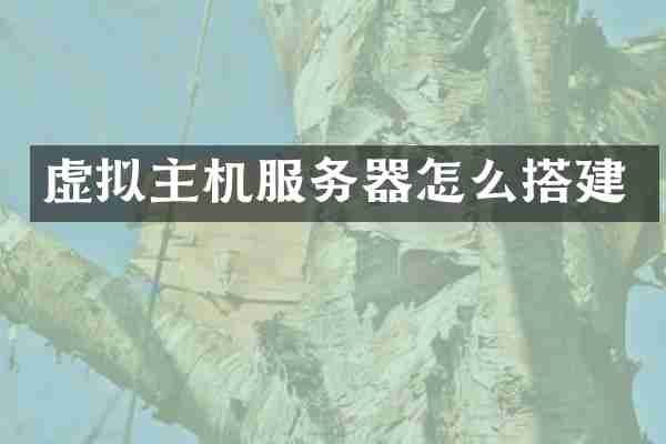 虚拟主机服务器怎么搭建