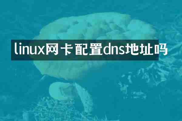 linux网卡配置dns地址吗