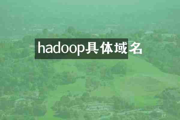 hadoop具体域名