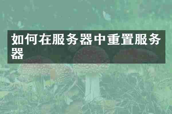 如何在服务器中重置服务器