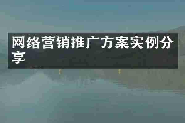 网络营销推广方案实例分享
