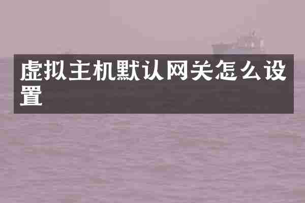虚拟主机默认网关怎么设置