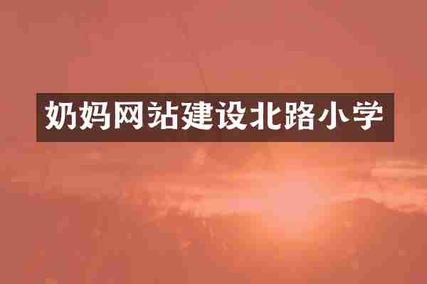 奶妈网站建设北路小学