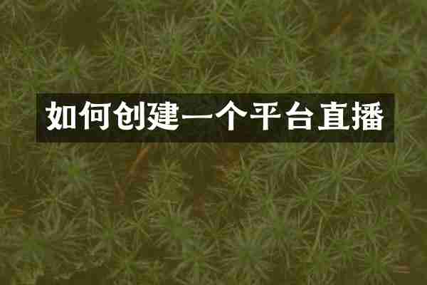 如何创建一个平台直播