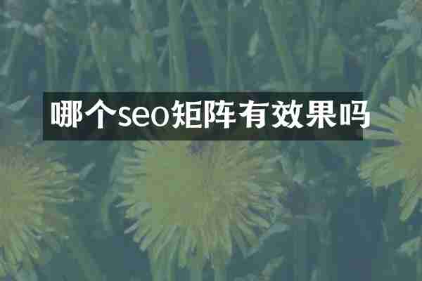 哪个seo矩阵有效果吗