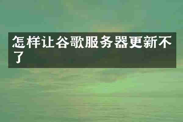 怎样让谷歌服务器更新不了
