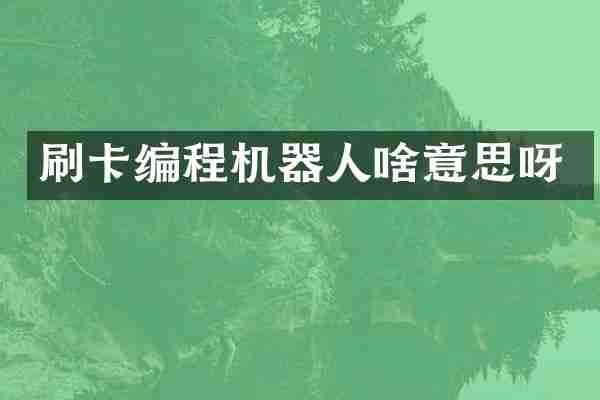 刷卡编程机器人啥意思呀