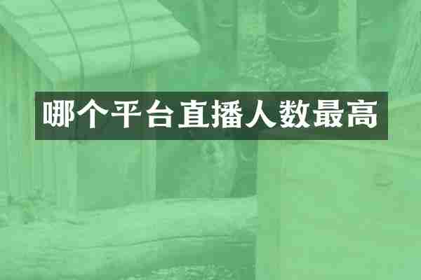 哪个平台直播人数最高