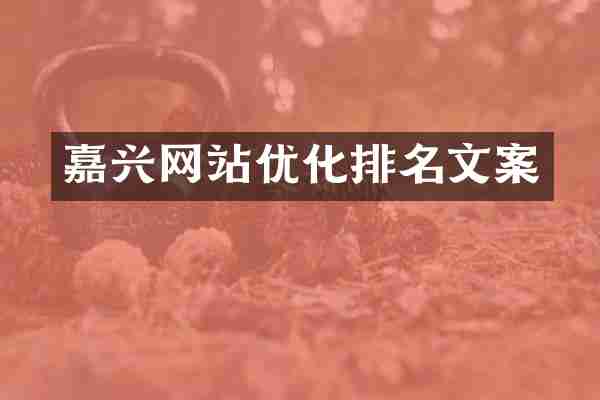 嘉兴网站优化排名文案