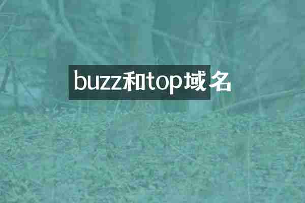 buzz和top域名