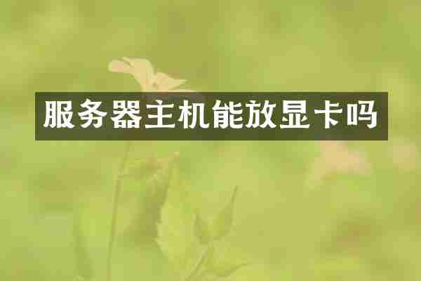 服务器主机能放显卡吗