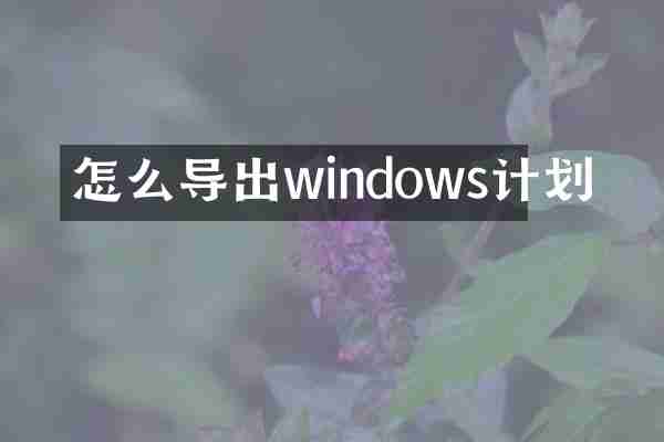 怎么导出windows计划
