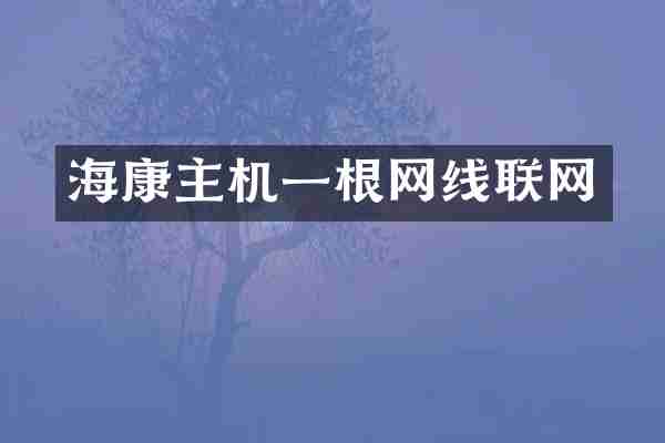 海康主机一根网线联网