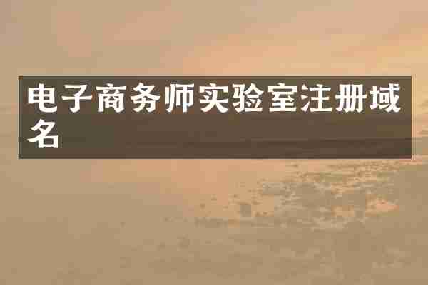电子商务师实验室注册域名