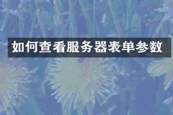 如何查看服务器表单参数