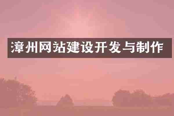 漳州网站建设开发与制作