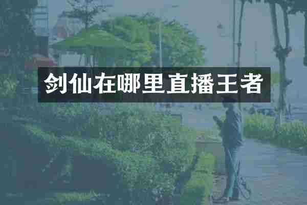 剑仙在哪里直播王者