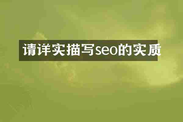 请详实描写seo的实质