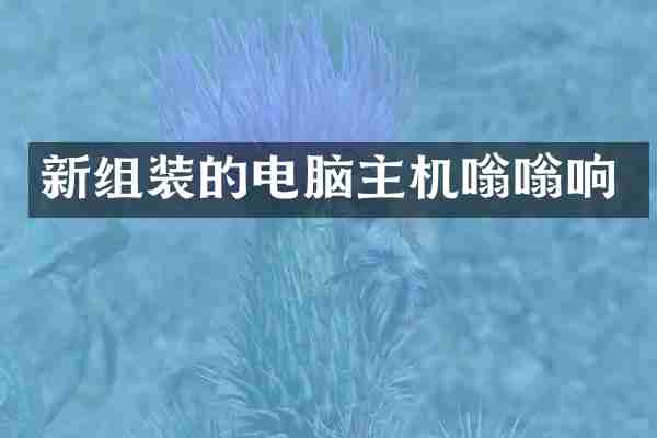 新组装的电脑主机嗡嗡响
