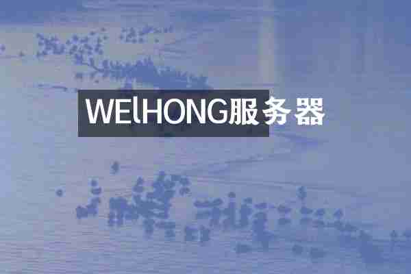 WElHONG服务器