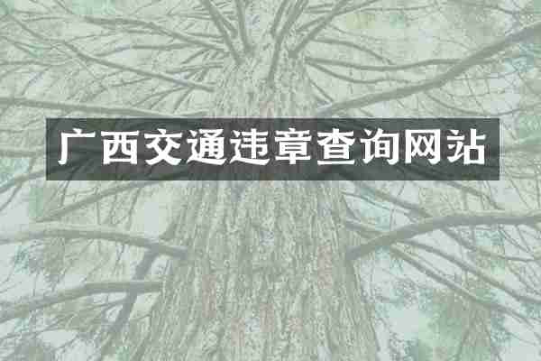 广西交通违章查询网站