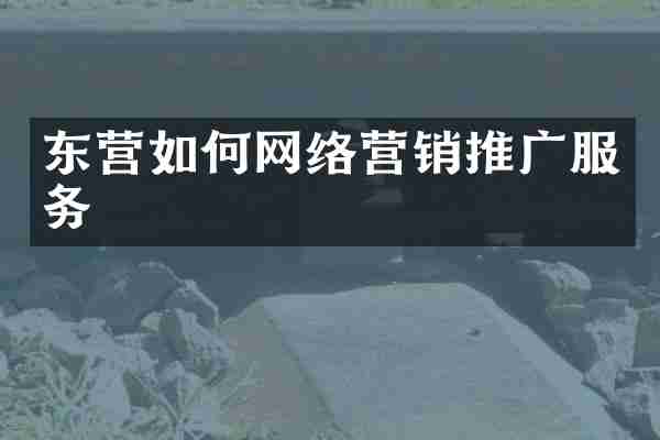东营如何网络营销推广服务
