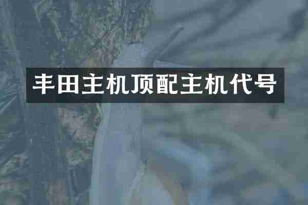丰田主机顶配主机代号