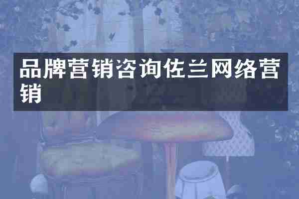 品牌营销咨询佐兰网络营销