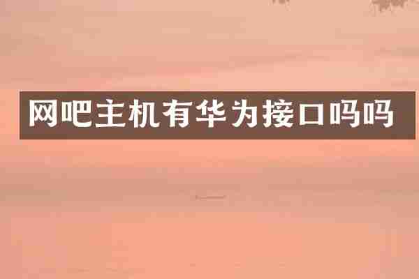 网吧主机有华为接口吗吗