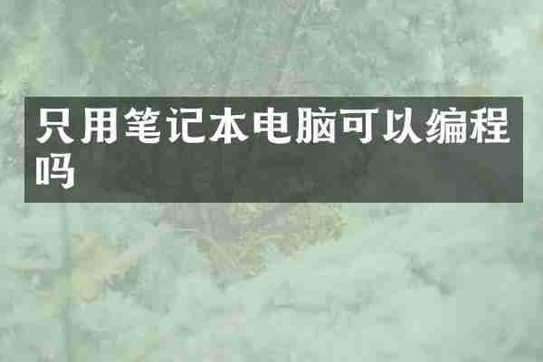 只用笔记本电脑可以编程吗