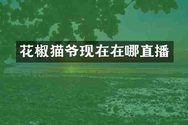 花椒猫爷现在在哪直播