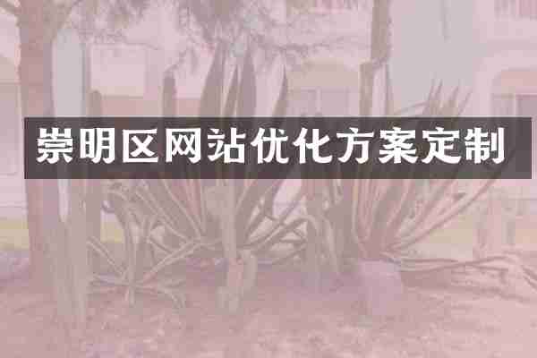 崇明区网站优化方案定制
