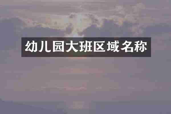 幼儿园大班区域名称