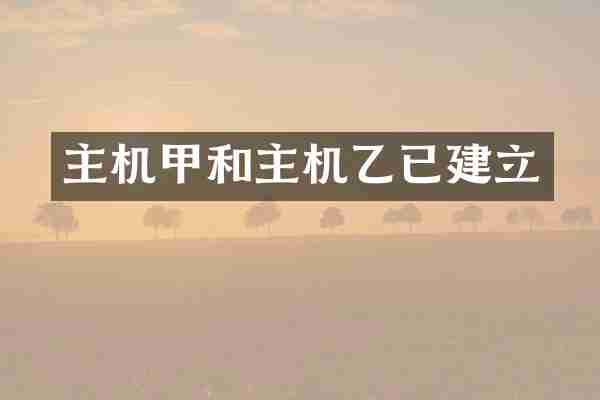 主机甲和主机乙已建立