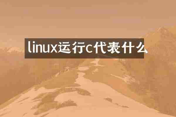 linux运行c代表什么