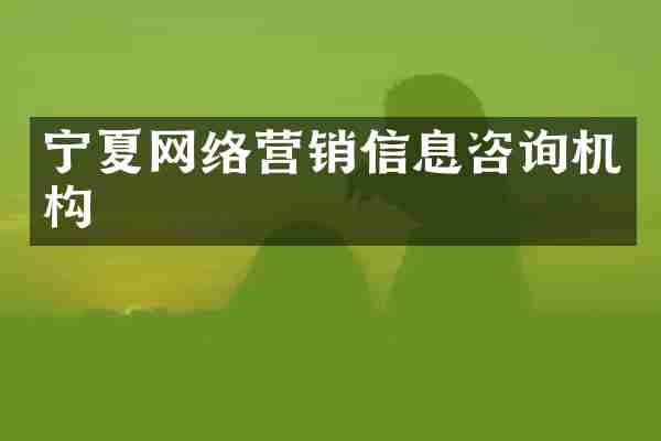 宁夏网络营销信息咨询机构