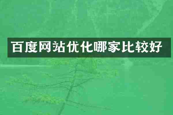 百度网站优化哪家比较好