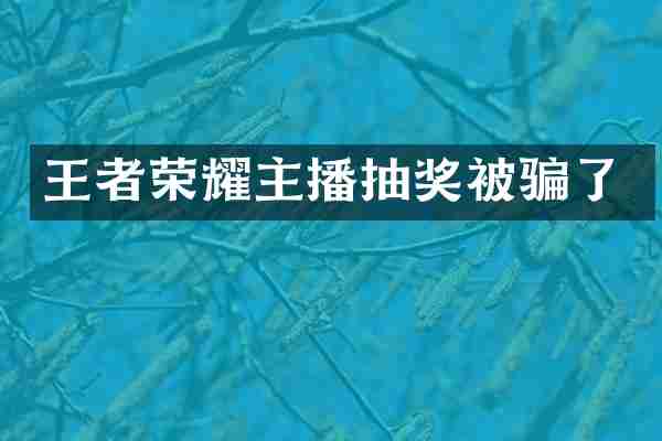 王者荣耀主播抽奖被骗了