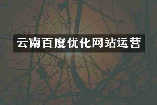 云南百度优化网站运营