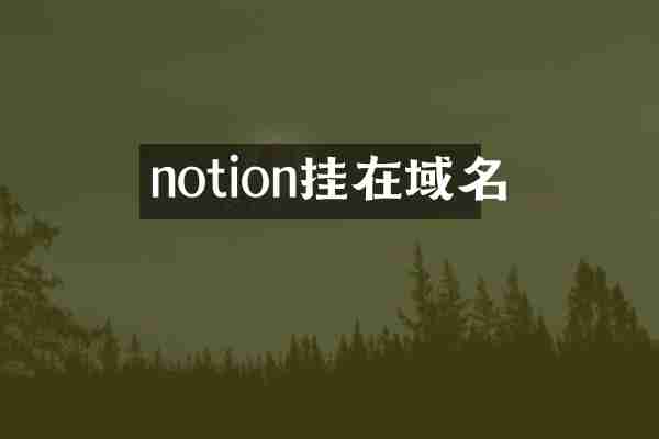 notion挂在域名
