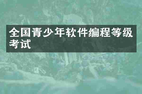 全国青少年软件编程等级考试