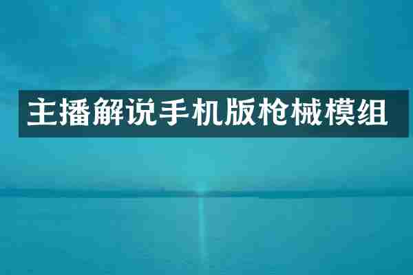 主播解说手机版枪械模组